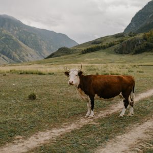 Business Branding Photography