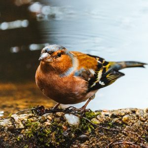 Art Installation Photography